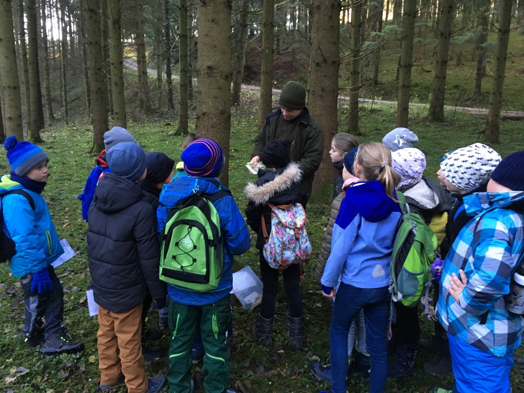 Unterwegs im Wald – Unterrichtsgang mit Förster